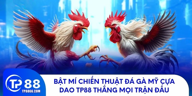 Bật mí chiến thuật đá gà Mỹ cựa dao giúp bạn thắng mọi trận đấu